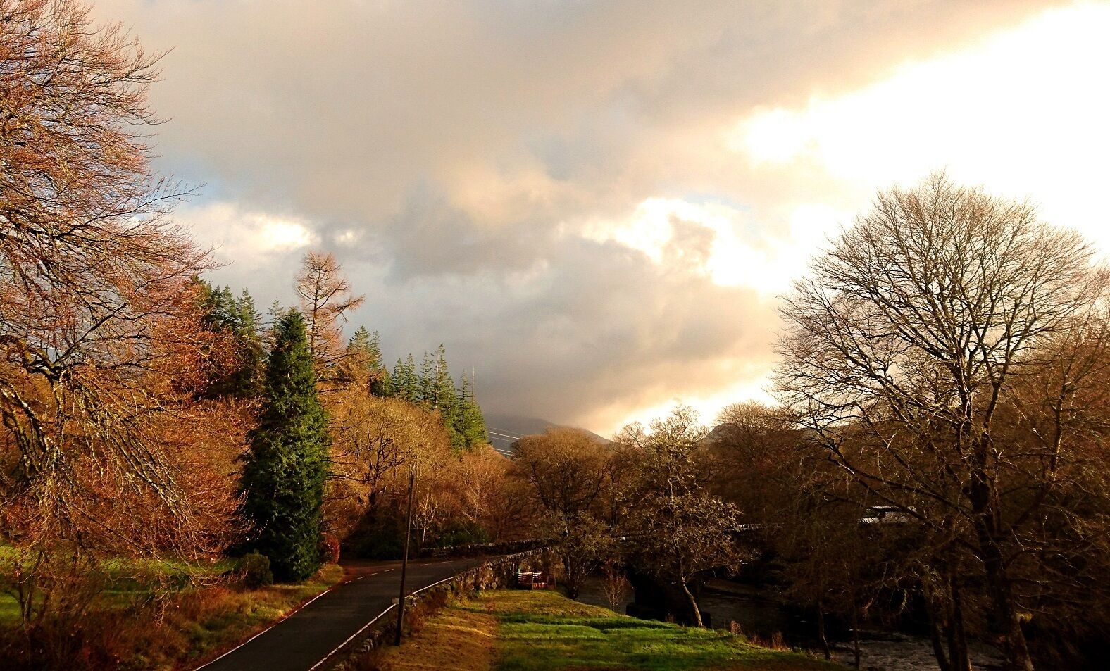 ملاء ات للفراش لا تسبب الحساسية وطراز فريد لكل وحدة وستائر تعتيم