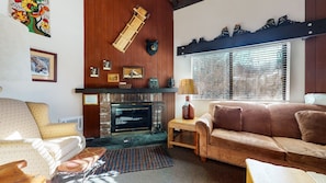 Televisión, chimenea y reproductor de DVD