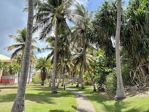 A pathway lined with palm trees, a grassy area, and a building with a yellow roof in the background.