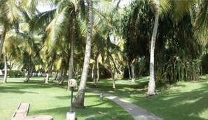 Property grounds - Balisier 148, all Comfort, Anse des Rochers. Guadeloupe. (Saint-François)