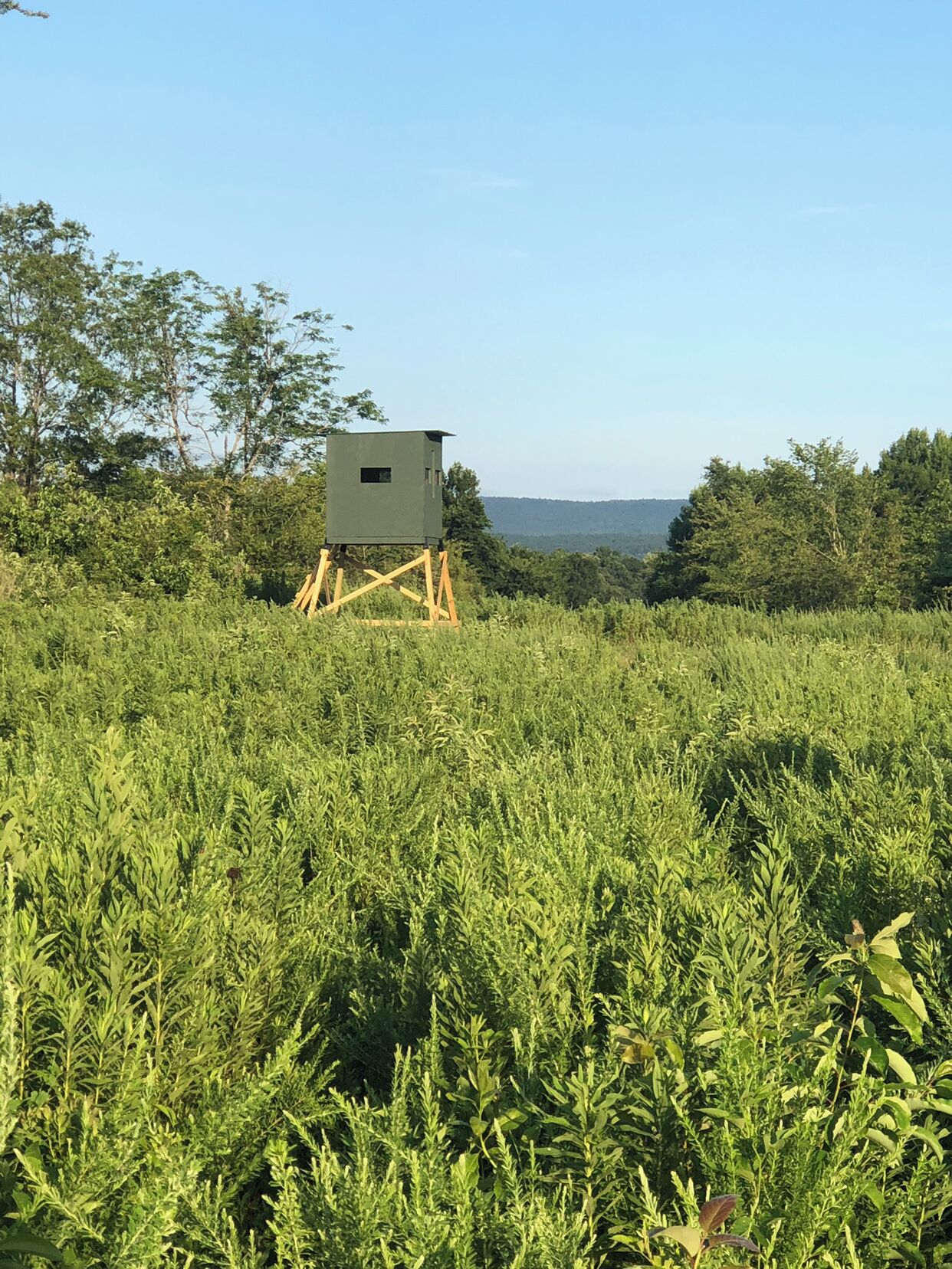 A field with a wooden structure and a clear sky.