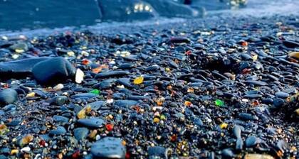 Sneaky Moose Townhome, 2BR / 2BA