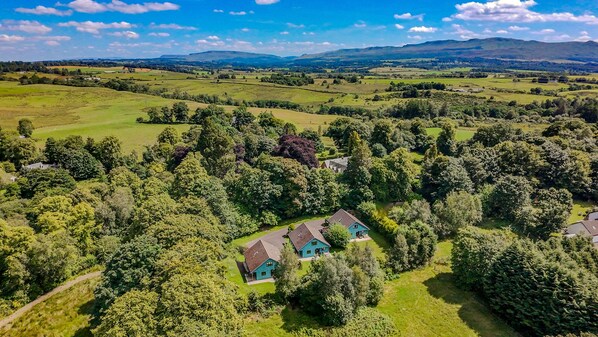 An aerial view of a rural property with two houses surrounded by dense trees and open fields.