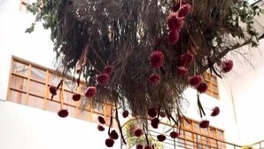 An outdoor seating area with white cushioned chairs and round tables, surrounded by potted plants and hanging decorations. - Intiwatana Hotel Boutique (Cusco)