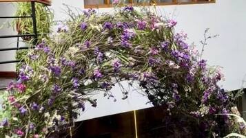 Vista frontal de la propiedad