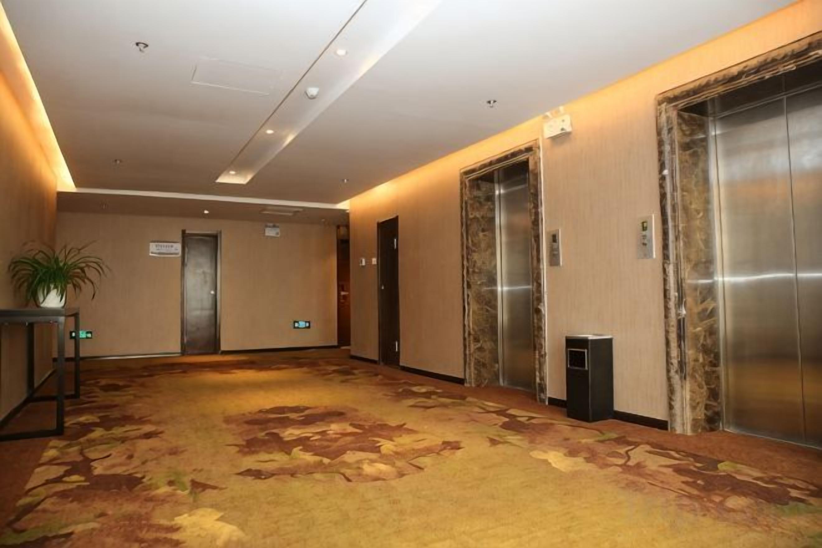 Vestíbulo de hotel con piso alfombrado, dos ascensores, un cesto de basura y una planta en maceta.