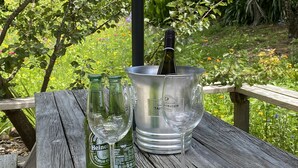 A wooden table with two empty Heineken beer bottles and a glass, a bottle of champagne, and a champagne flute on a wooden deck with a garden background. - Tiny Studio - Near New (Whangamatā)