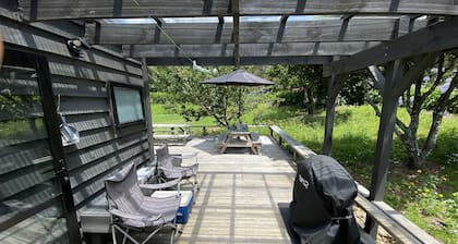Tiny Studio - Near New
