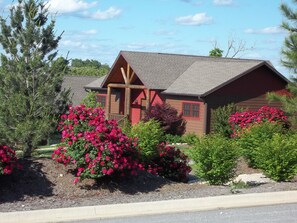 Exterior - Serendipity 22 (Branson)