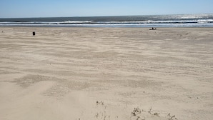 A wide sandy beach with sparse vegetation and a clear blue sky.
