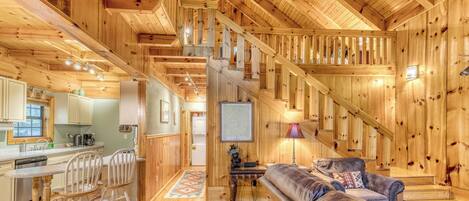 TV connectée, cheminée, lecteur de DVD, livres