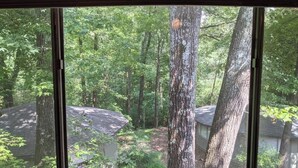 A view through a window of a forested area with tall trees and a building with a sloped roof. - DOUBLE DECKER CONDO! LARGE GROUPS! NEXT TO CAMPUS! (Oxford)