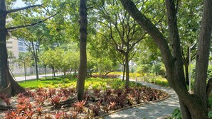 Un chemin pavé, bordé de plantes et d’arbres aux feuilles rouges, traverse un espace vert où la végétation luxuriante côtoie une route également pavée, visible au loin.