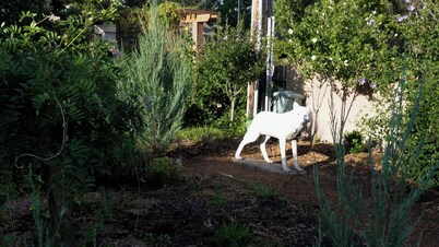 Prairie Graceland - short term rental in Lincoln's historic East Campus district