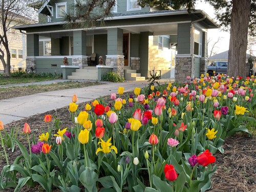 4BR UNL East Campus Historic Home | Sleeps 8 | 3–4 Parking | Pergola + Porch