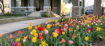 4BR UNL East Campus Historic Home | Sleeps 8 | 3–4 Parking | Pergola + Porch