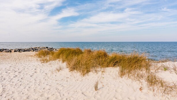 A sandy beach with grass in the foreground and a calm sea under a partly cloudy sky. - Sea Salt Cottage: Your Tranquil Getaway 3 min to beach (Cape Charles)