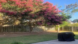 Quintal com cerca de madeira, uma árvore florida em tons de rosa e uma churrasqueira.