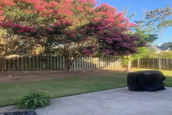 Property grounds - 4 bedroom home 10 mins from Master's tournament (Martinez)