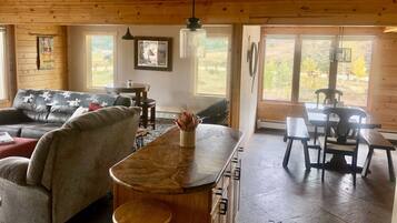 Smart TV, fireplace, books