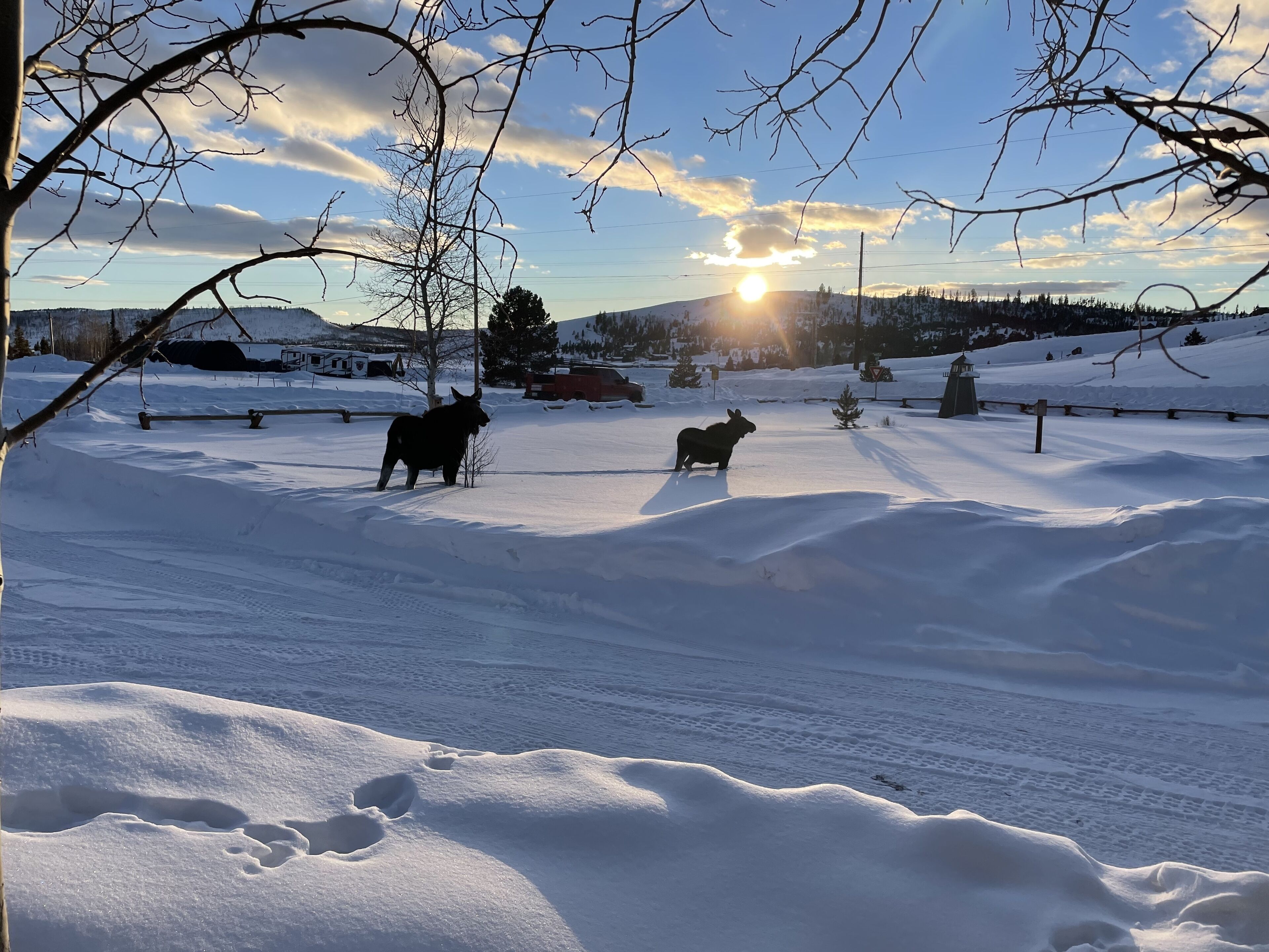 Deportes de invierno y ski