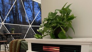 Una chimenea moderna con pantalla digital, una planta verde grande y un área de estar acogedora con una manta.