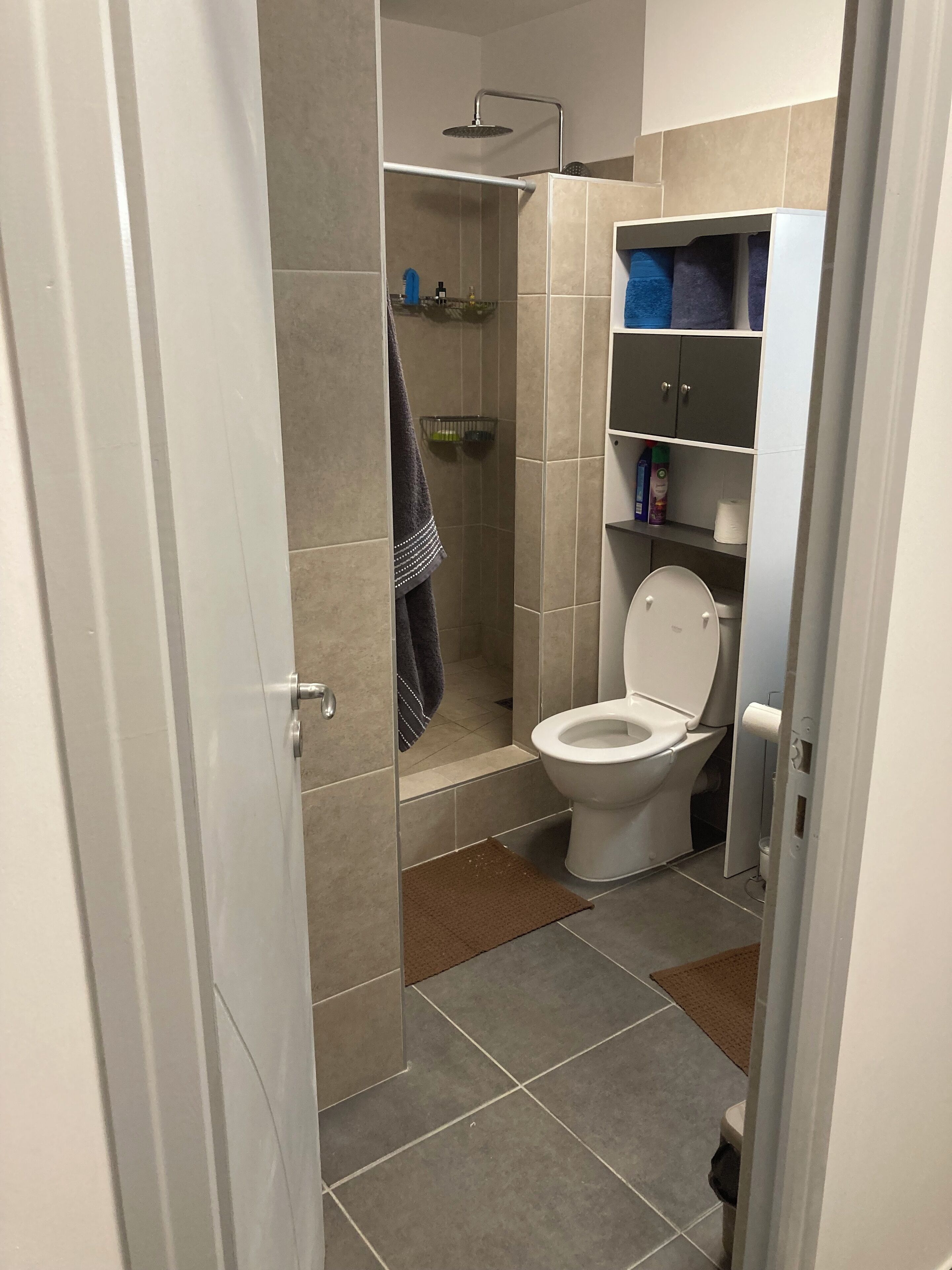 A bathroom with a shower, toilet, and shelves with toiletries.