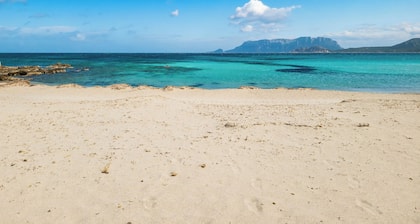 Le Dimore di Nettuno