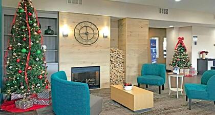 Comfort Inn & Suites O'fallon, IL