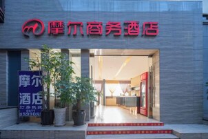 A hotel entrance with a modern facade, a reception desk, and a potted plant outside.