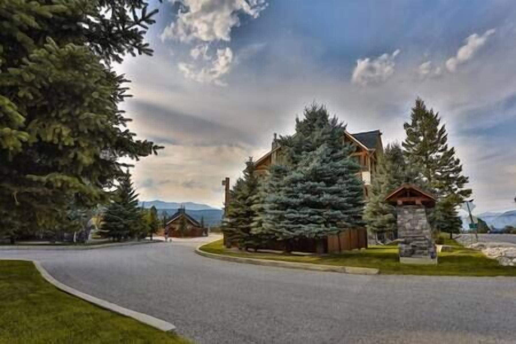 A two-story log cabin with a stone foundation, surrounded by evergreen trees and a paved driveway.