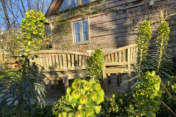 Parco della struttura