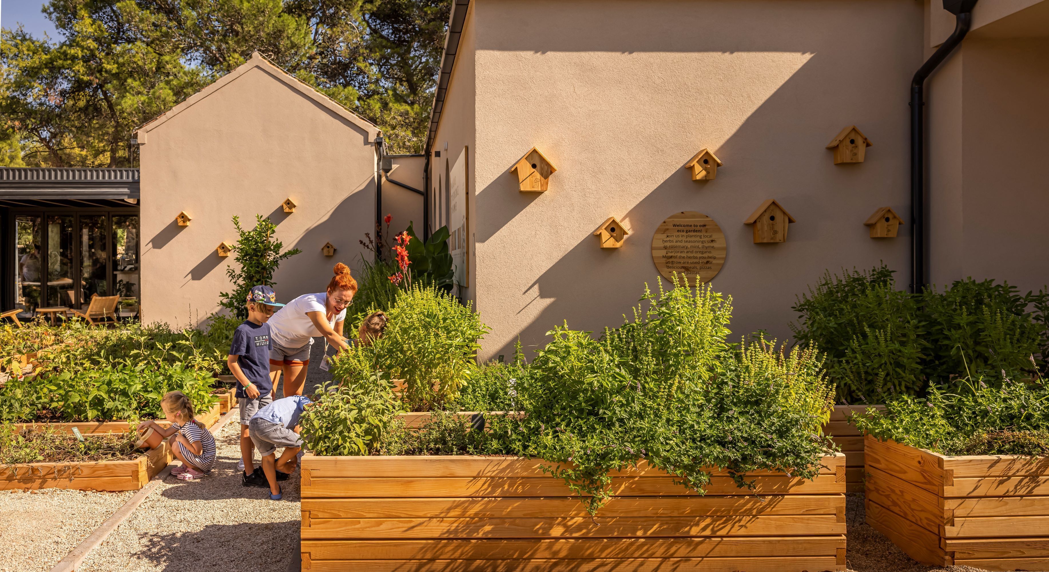 Un jardin agrémenté de jardinières en bois surélevées, d’un mur décoré de nichoirs en bois et d’une structure en forme de pergola.