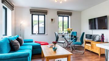 Smart TV, fireplace, books