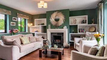 Smart TV, fireplace, books