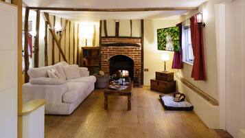 Smart TV, fireplace, books