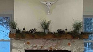 Una chimenea con repisa de piedra, un cráneo de vaca decorativo y un arreglo de plantas encima.