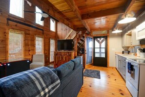 Smart TV, fireplace, video games, DVD player