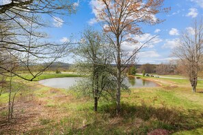 A natural landscape with a pond, trees, and a road in the background. - Comfort and beautiful views combine to create GREAT! Come perch at Crows Nest (Canaan Valley)