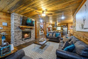 Télévision, cheminée, jeux vidéo