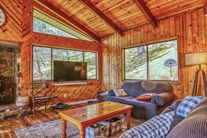 TV, fireplace, video games