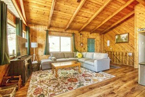 Televisión, chimenea y videojuegos 