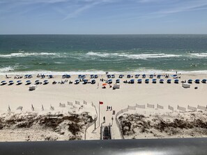 Ein Strand mit blauen Sonnenschirmen und Liegestühlen, ein sandiger Uferstreifen und ein Zaun, der den Strand von den Dünen trennt.