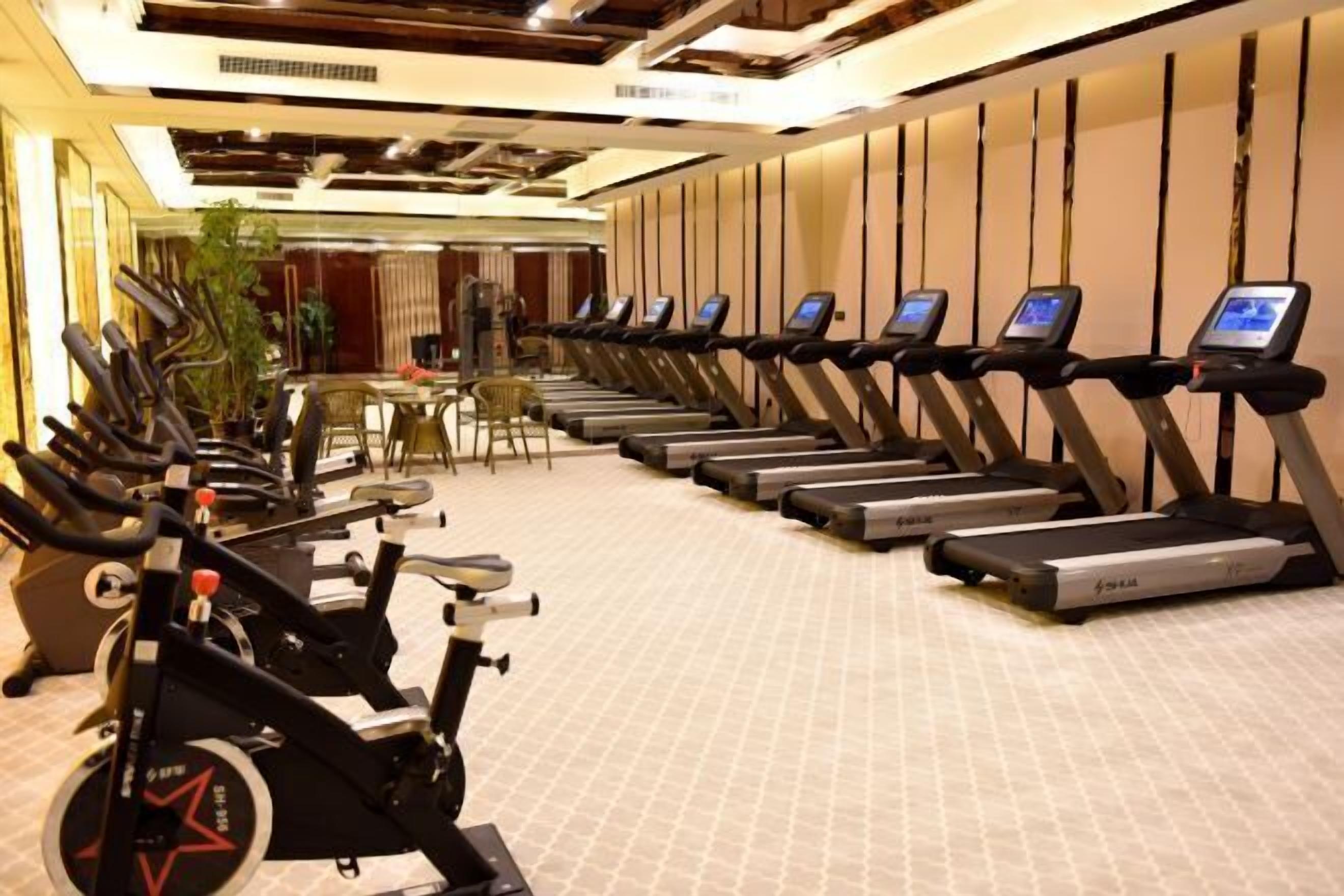 A gym with multiple treadmills and stationary bikes, a seating area with tables, and a large plant.