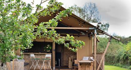 Rusty Lane, Safari Lodge