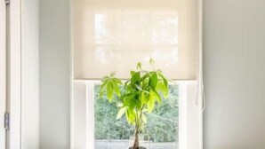 Una mesa blanca con una planta en maceta frente a una ventana con persiana blanca.