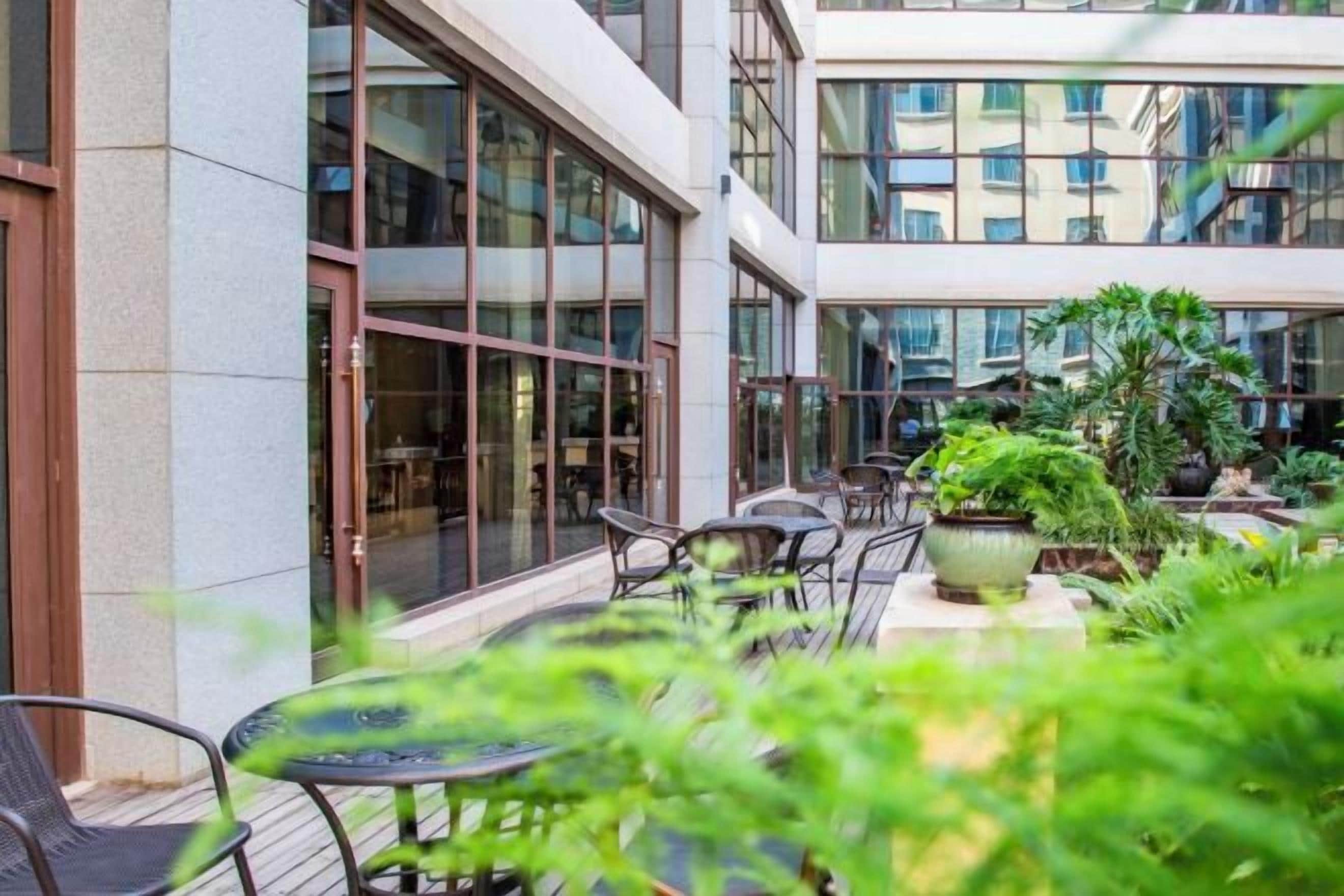 An outdoor seating area with tables and chairs, surrounded by potted plants and a building with large windows.