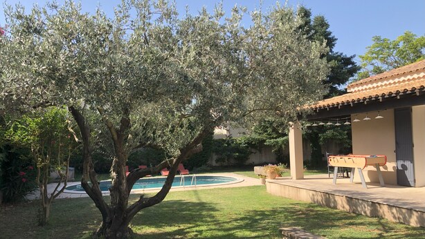 A pool area with a tree and a building with a tiled roof. - Family home in Provence with swimming pool (Noves)