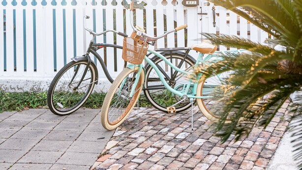 A blue house with a white picket fence, a bicycle, and a palm tree.