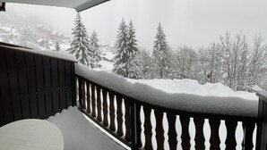 Un balcon avec une balustrade, des arbres couverts de neige et une vue sur un paysage enneigé.